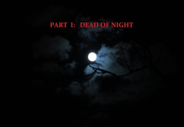 Chapter 1-1: Demon Night