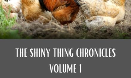 Shiny Thing Chronicles, Chapter 8: The Armor of Light