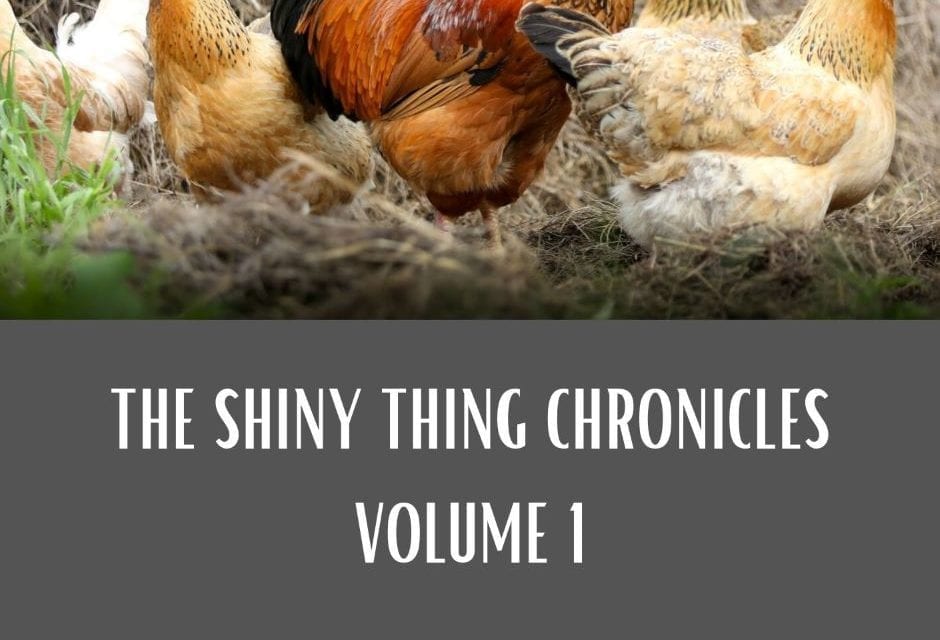 Shiny Thing Chronicles, Chapter 8: The Armor of Light