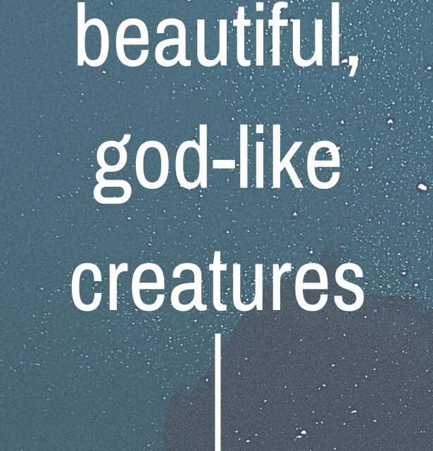 Chapter 2 – Illegal Goods