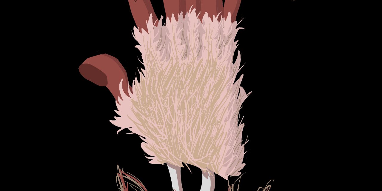 Chapter 1: The New Shop