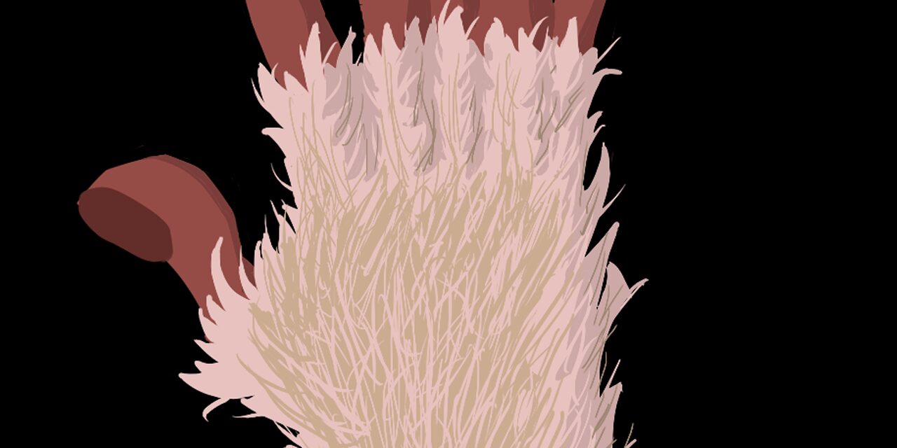 Chapter 2: The Farm Town