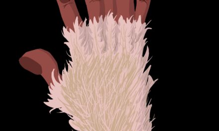 Chapter 2: The Farm Town