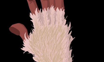 Chapter 3: Raising Spirits