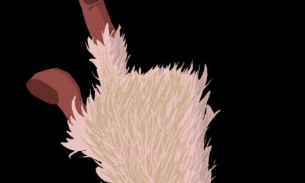 Chapter 7: Something Wicked This Way Comes