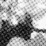 Sorores Suas In Sanguine