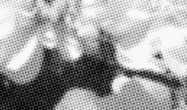 Sorores Suas In Sanguine