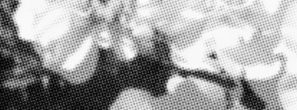 Sorores Suas In Sanguine